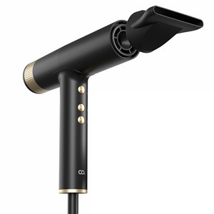 오아 슬림에어 BLDC 고속 미니 헤어드라이기 저소음 항공모터 드라이어 2000W