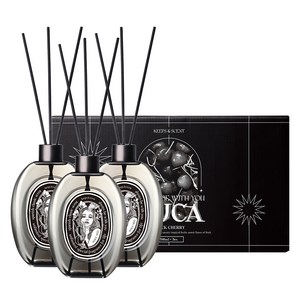 뷰카 센트 클래식 대용량 디퓨저