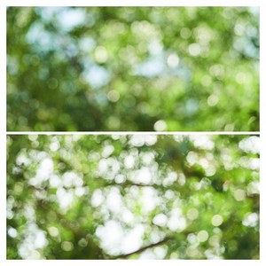 대한 사진 촬영 소품 자연풍경 양면 배경지 초록빛 풍경