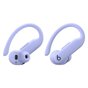 Apple Beats Powerbeats Pro 2 블루투스 이어폰