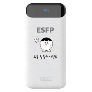 뉴클 MBTI PD 22.5w 10000mAh 보조배터리 ESFP