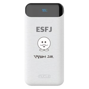 뉴클 MBTI PD 22.5w 10000mAh 보조배터리 ESFJ