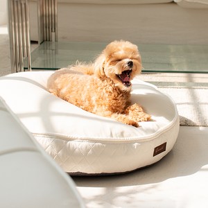 초코펫하우스 강아지 쿠션 무중력 우주 방석 2.0, 아이보리, 1개