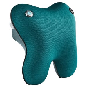 필립스 등허리 마사지기