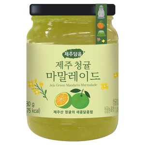 오뚜기 제주담음 제주청귤마말레이드, 280g, 1개
