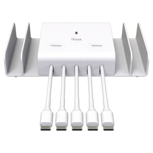 로이직 5포트 고속 멀티충전기 C타입