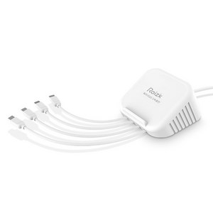 로이직 4포트 고속 멀티충전기 C타입 4p RZ-203