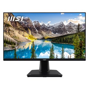MSI FHD IPS 100 아이에르고 무결점 모니터