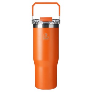 캐리보틀 듀얼플로우 탑핸들 텀블러, 탠저린, 950ml, 1개