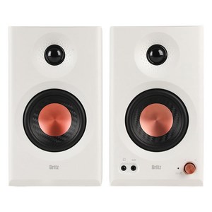 브리츠 블루투스 홈스튜디오 모니터 스피커