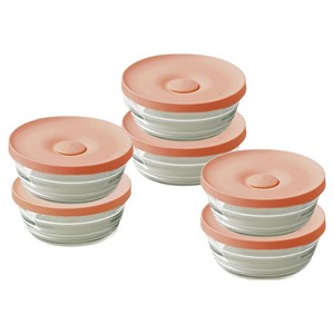 글라스락 밥용기 310ml, 무드브릭, 6개