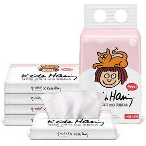 한예지 X 키스해링 휴대용 저자극 로션콧물티슈, 40개입, 5개