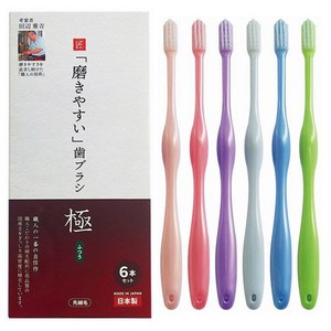 타나베 일본 장인칫솔 키와미 보통 LT-53, 6개입, 1세트