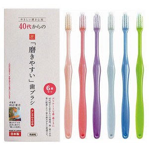 타나베 일본 장인칫솔 40대용 LT-59, 6개입, 1세트