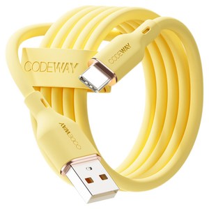 코드웨이 A타입-C타입 팔레트 고속충전 케이블