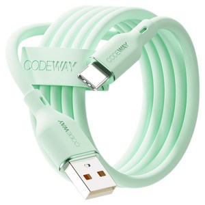 코드웨이 A타입-C타입 팔레트 고속충전 케이블