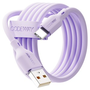 코드웨이 A타입-C타입 팔레트 고속충전 케이블