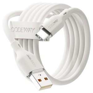 코드웨이 A타입-C타입 팔레트 고속충전 케이블