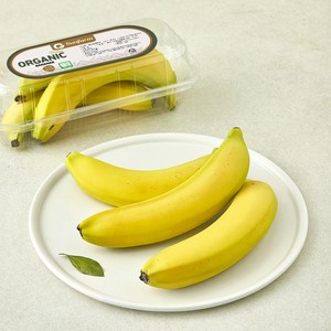 썬팜 유기농 인증 페루산 바나나
