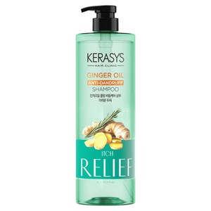 케라시스 진저 오일 가려운 두피 쿨링 비듬완화 샴푸 진저플라워향, 1L, 1개