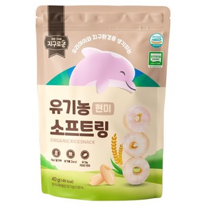 지구로운 유기농 아기 과자 소프트링, 1개, 40g, 현미