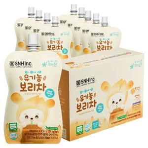 서울대 우아한 유기농 보리차, 10개입, 100ml, 1개