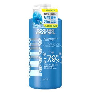 엘라스틴 쿨링 헤드 스파 10000 샴푸 쿨멘솔, 1L, 1개