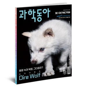 과학동아 474호 25년 6월 : 복원이 남긴 숙제 첨단으로 연구하는 갯벌