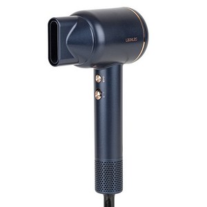라온르 벨르제 BLDC 헤어드라이어 LAHD3 1600W
