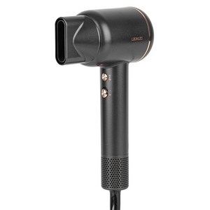 라온르 벨르제 BLDC 헤어 드라이어 1600W