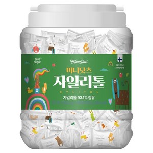 미니닷츠 자일리톨 캔디, 180g, 포도맛, 1개