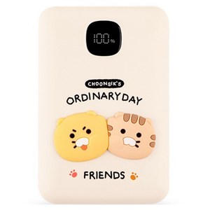 카카오프렌즈 CS 고속충전 보조배터리 10000mAh