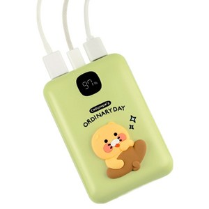 카카오프렌즈 CS 고속충전 보조배터리 20000mAh c타입