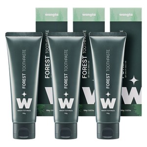 왕타 포레스트 프레시 구취케어 치약, 100g, 3개