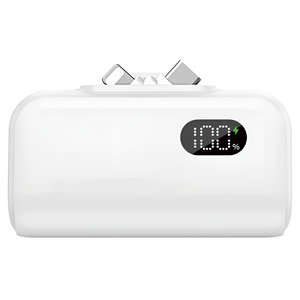 텐지 로봇 듀얼잭 도킹형 보조배터리 5000mAh 애플8핀 / C타입