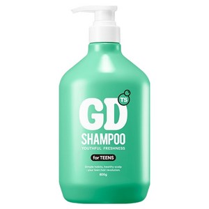 TS 지디 샴푸 빅, 800g, 1개