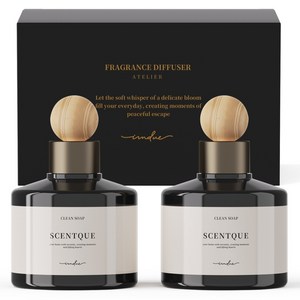 아이엠듀 프리미엄 퍼퓸 차량용 디퓨저 200ml 본품, 클린솝, 2개