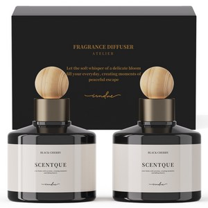 아이엠듀 프리미엄 퍼퓸 차량용 디퓨저 200ml 본품, 블랙체리, 2개