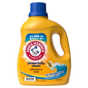 암앤해머 클린버스트 세탁세제 본품 은은하고 상쾌한 향, 3L, 1개