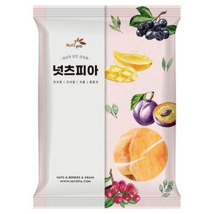 넛츠피아 건망고 슬라이스, 1kg, 1개