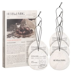 허브앤리빙 차량용 종이 디퓨저, 딥블랙체리, 1개