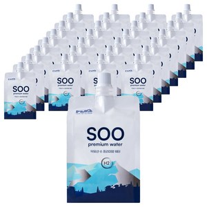 수수소수 덕유산 수 프리미엄 워터, 300ml, 30개