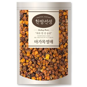 한방선생 국내산 마가목 열매 특품, 100g, 1개