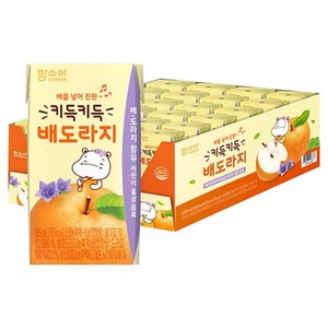 함소아 키득키득 배도라지 음료, 125ml, 24개