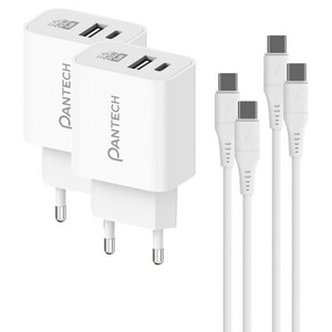 팬택 25W 2포트 PD GaN 멀티충전 초고속충전기 + CtoC 케이블 1m 세트