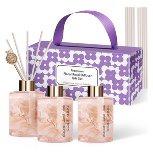 플렌느 프리저브드 플라워 디퓨저 250ml 선물세트