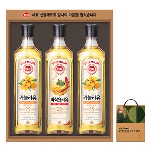 해표 고급유 10호 선물세트 + 쇼핑백, 1세트