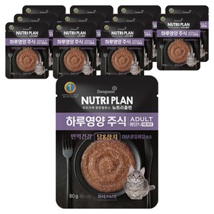 동원뉴트리플랜 어덜트 고양이 하루영양 주식파우치