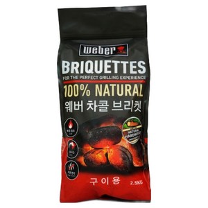 웨버 차콜 브리켓