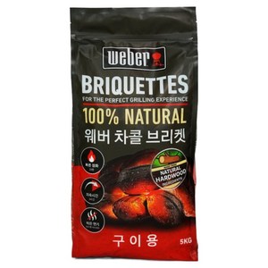weber 차콜 브리켓